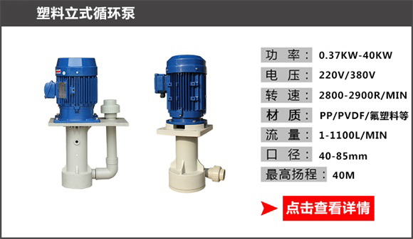 塑料立式循環(huán)泵